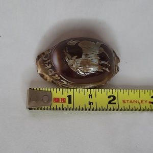 Horoscope Tiger Cowry Seashell Scrimshaw Carved Capricorn Perfect Cypraea Tigris